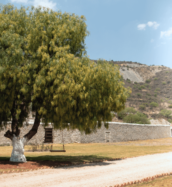 Imagen de autentificación